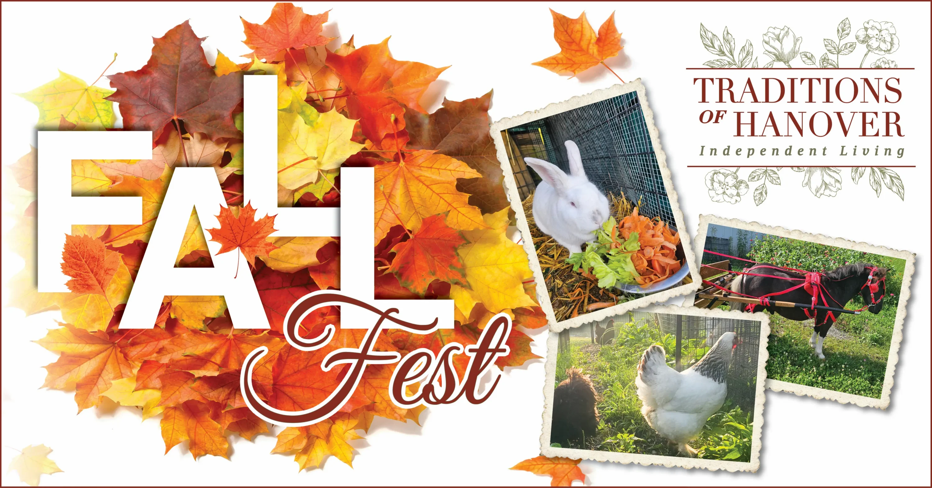 img banner for fall fest with fall leaves