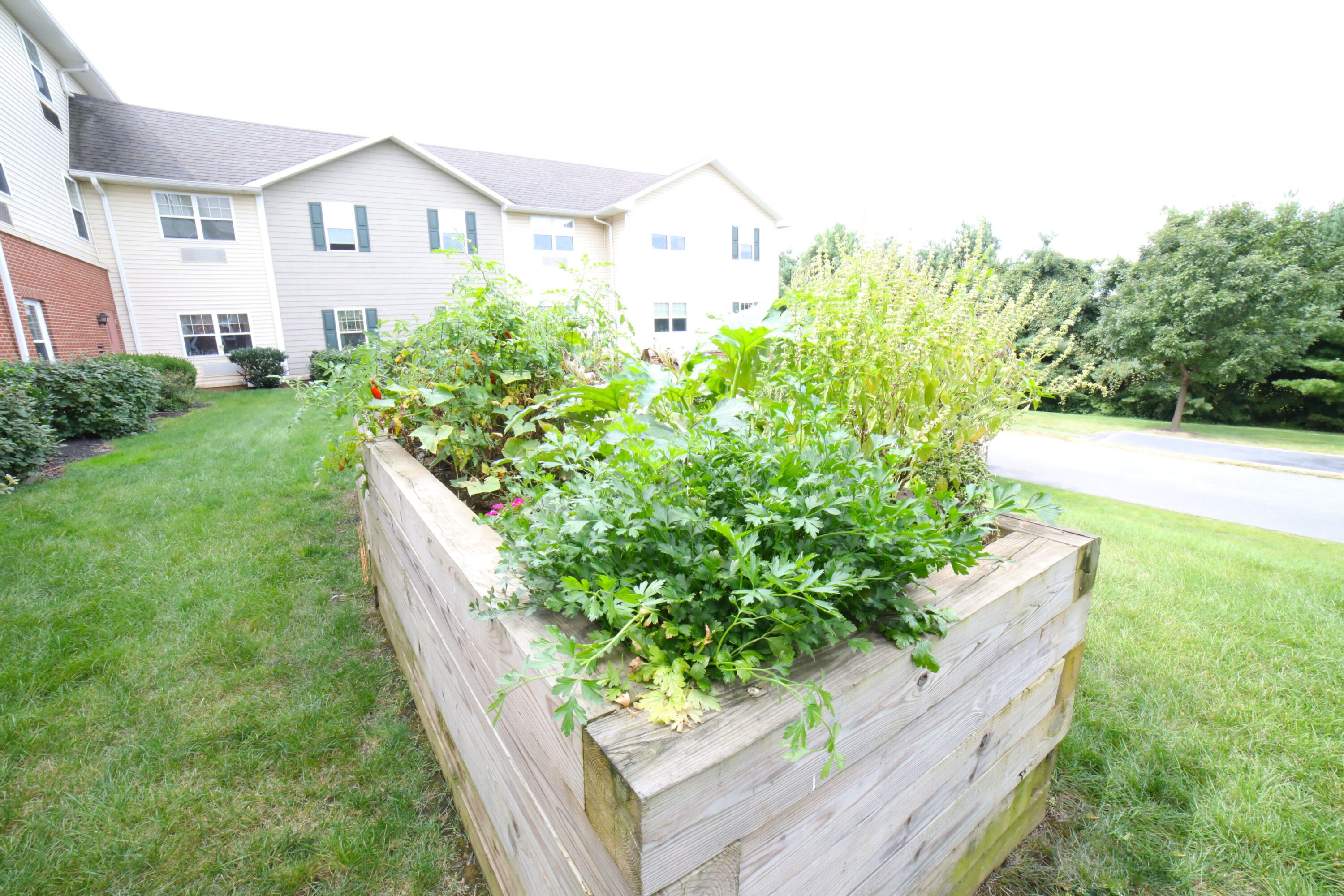 Raised wooden garden bed beside apartment building